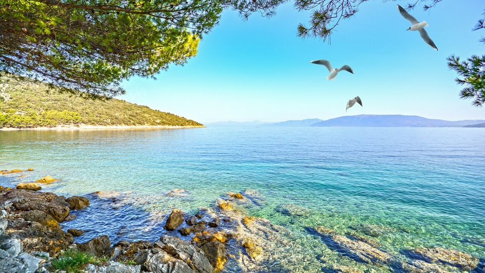 Dokumentarci More, grebeni, pisma