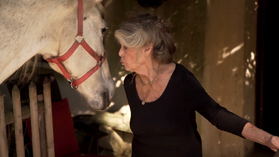 Documentary Brigitte Bardotová, rebelka s příčinou