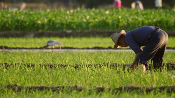 Dzikie tajemnice Chin