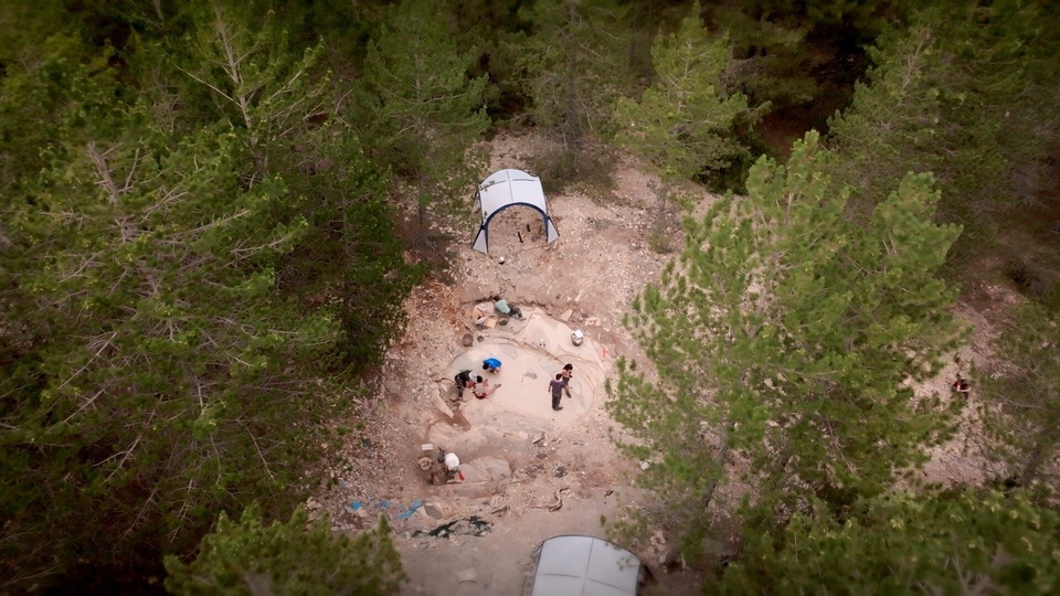 Dokument La fabuleuse histoire des oiseaux, des dinosaures parmi nous