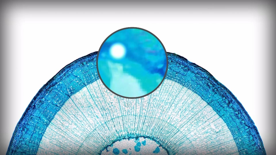 Dokument Tajomstvá veľkosti