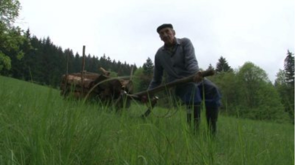 Documentary Říkejte mi strýcu