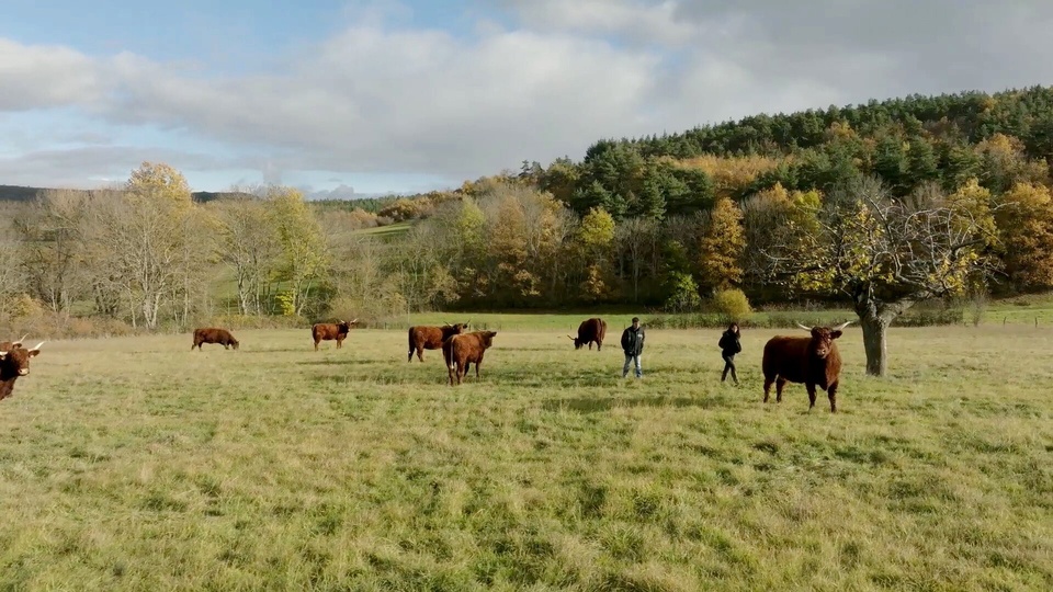 Documentary Concours général agricole, de l'or dans nos campagnes