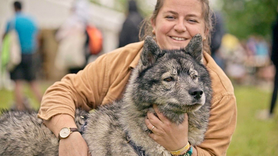 Dokument Nos tres chers animaux