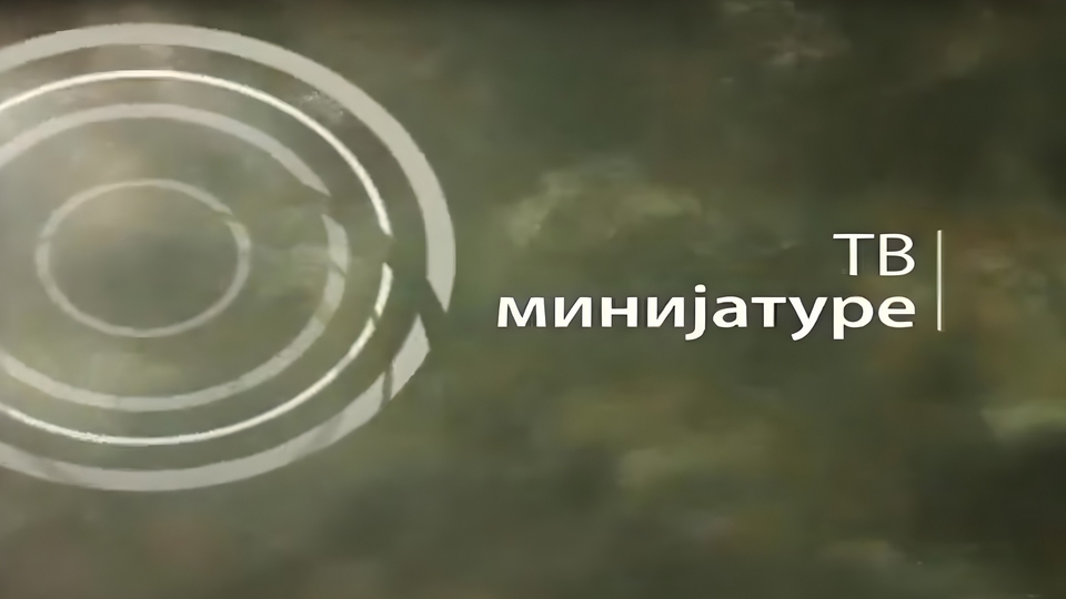 TV minijature: Svetski vrh fudokana