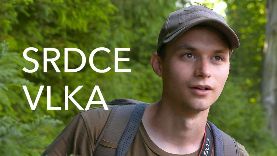 Dokument Srdce vlka