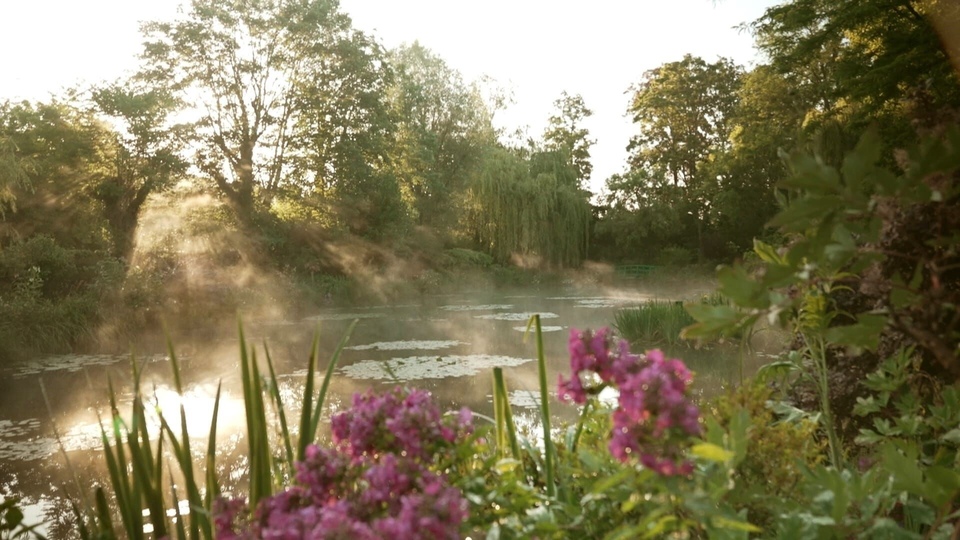Documentary Les trésors des jardins français