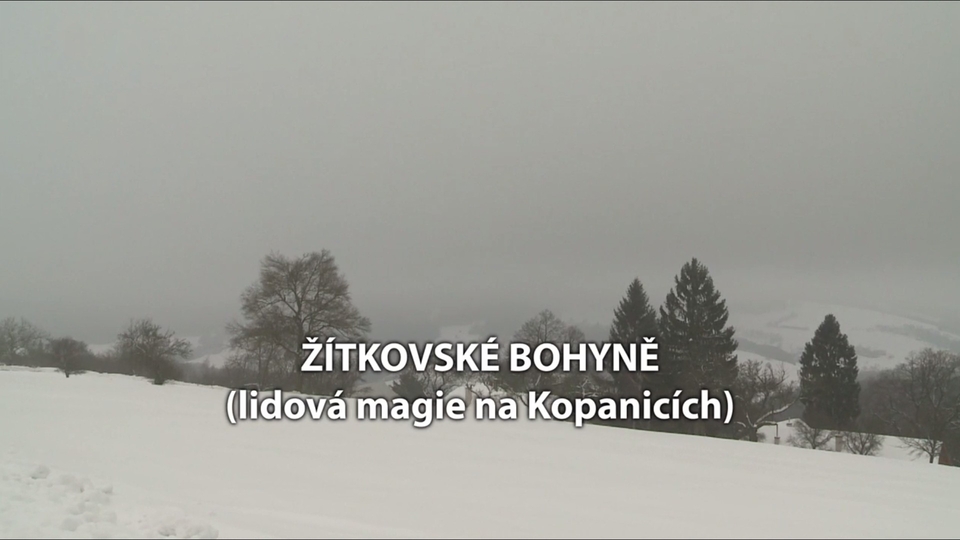 Документ Žítkovské bohyně