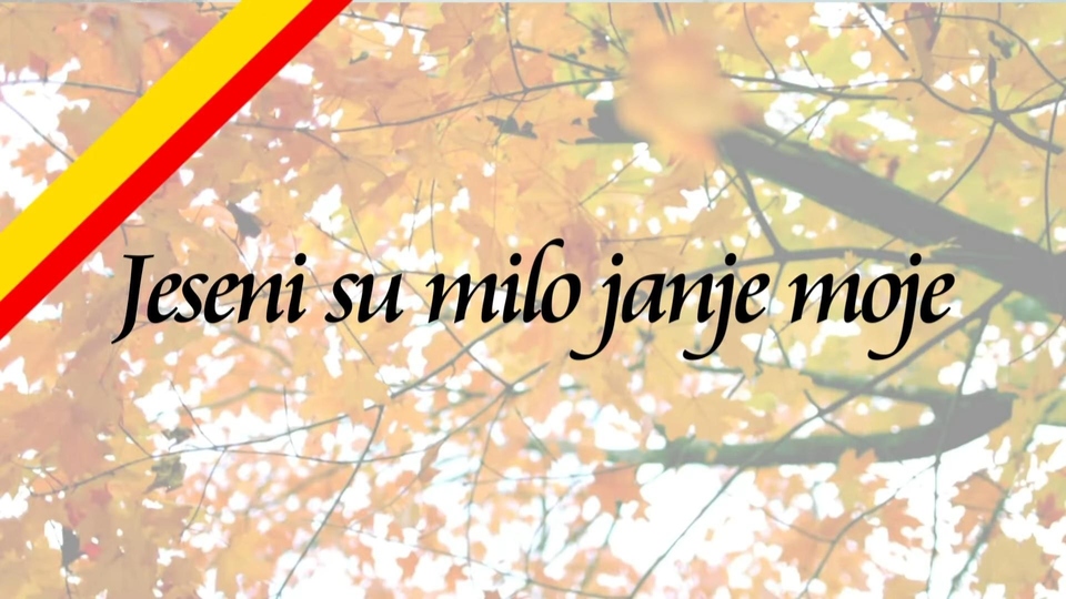 Mimohod dječjih folklornih skupina