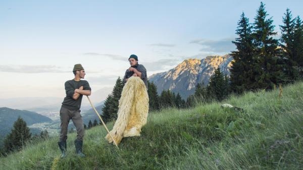 Niedźwiedzie z Transylwanii