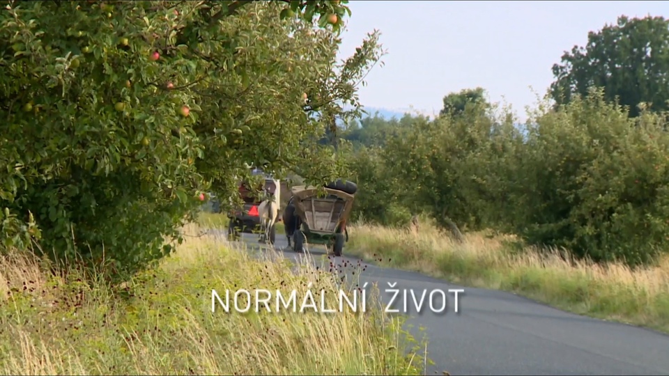 Documentary Normální život