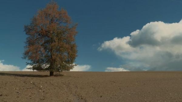Tiché hrozby - Mizející půda