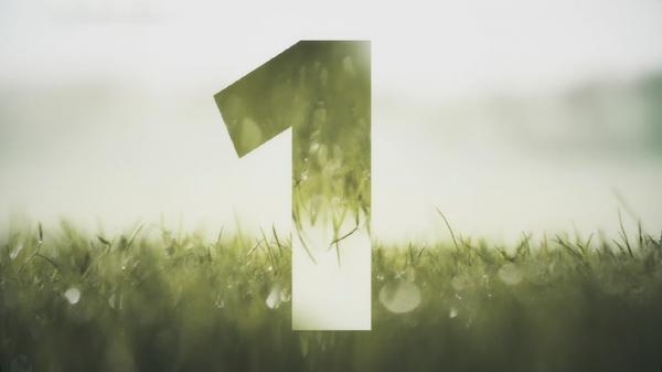 Andrej Babiš premiérem