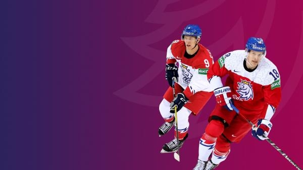 Hokej: Slovinsko - Česko