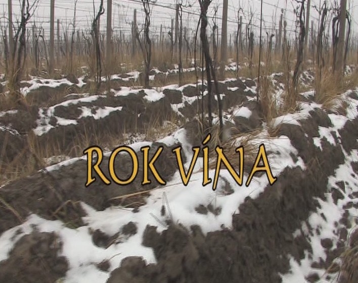 Documentary Rok vína