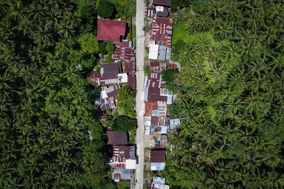 Documentary Naděje pro krále nebes