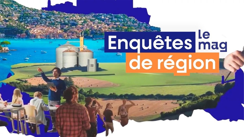 Enquetes De Region