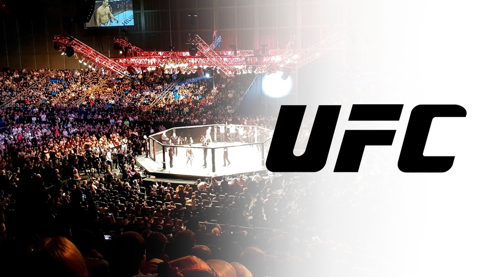 UFC 297 Strickland vs Du Plessis