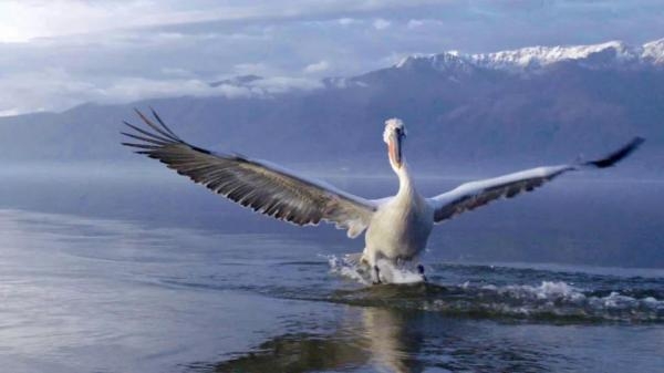 Skrivena čudesa Europe