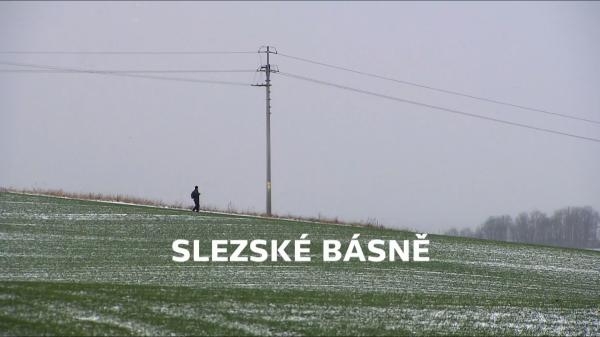 Slezské básně