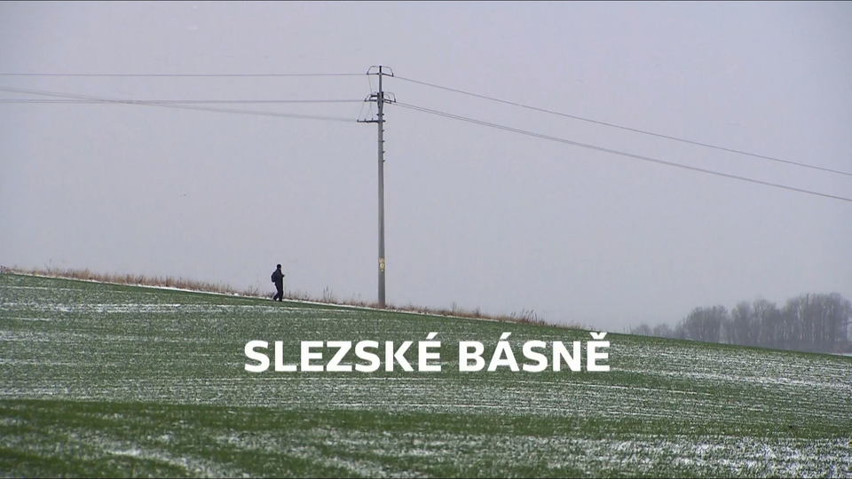 Documentary Slezské básně