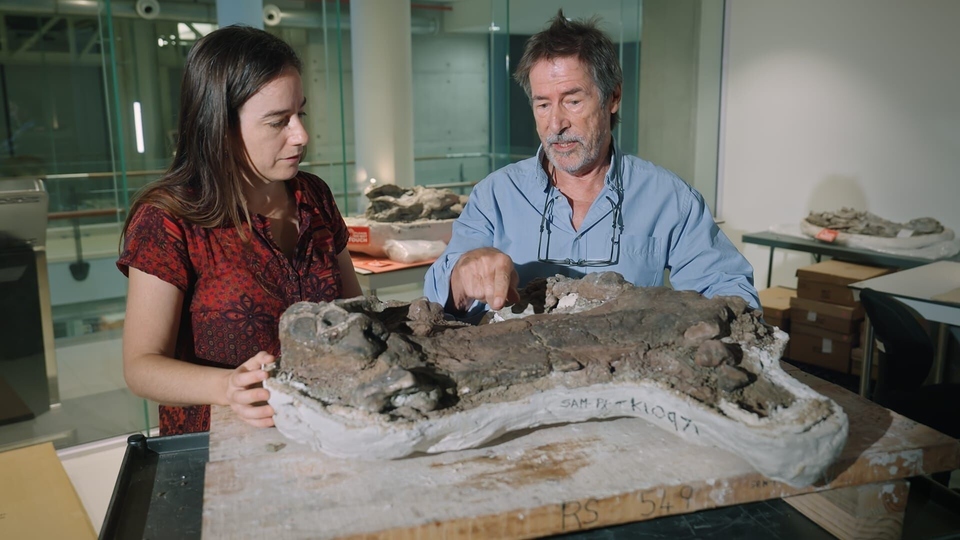 Dokument Aux origines des mammiferes, le monde avant les dinosaures