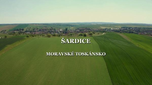 Šardice