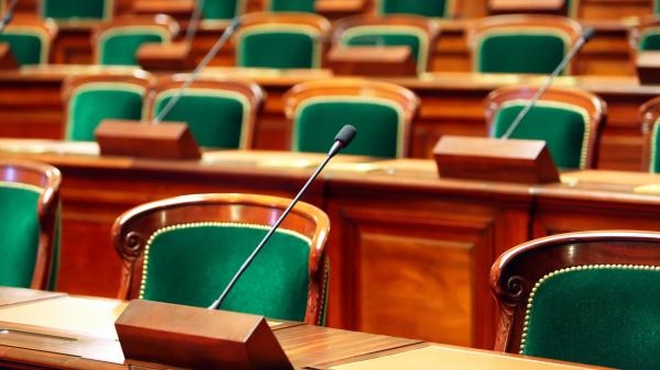 Snimka sjednice Županijske skupštine