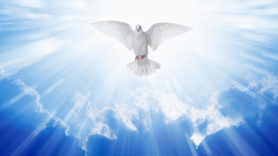Agape blisko Ciebie