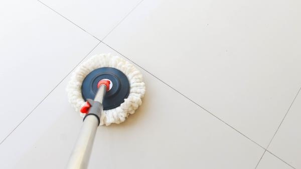 Livington Clean Water Spin Mop