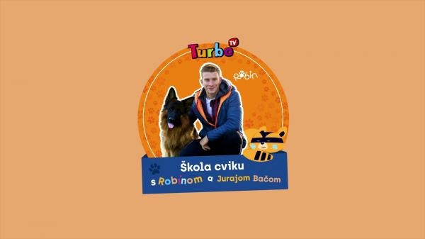 Škola cviku