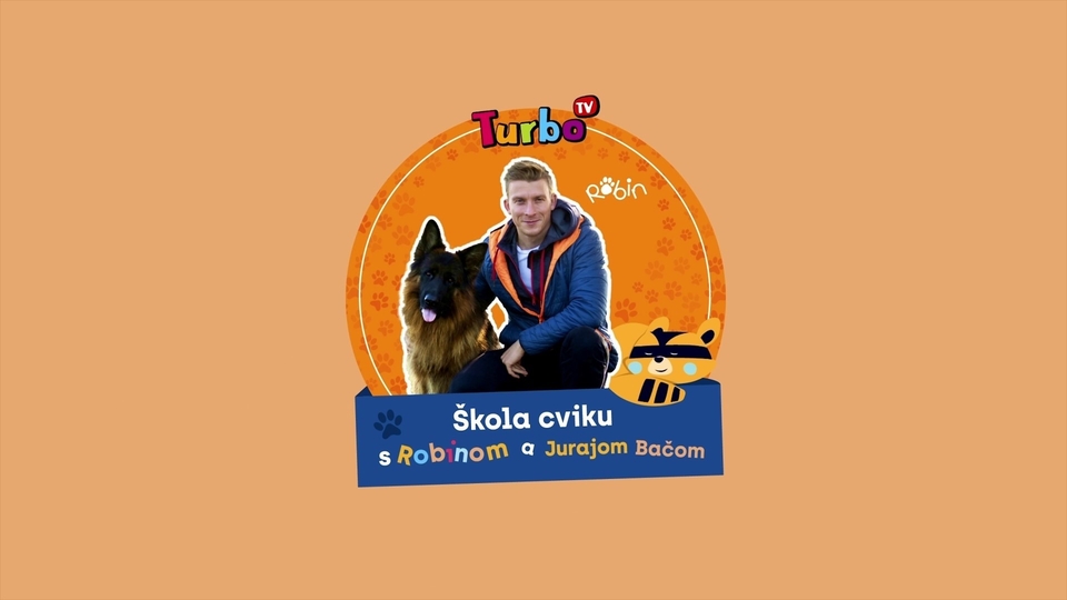 Škola cviku