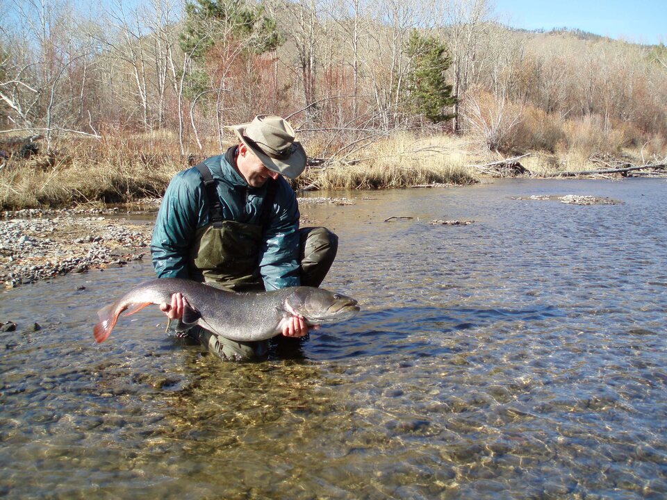 Dokument Momentky z&nbsp;deseti - Podzimní heavy feeder