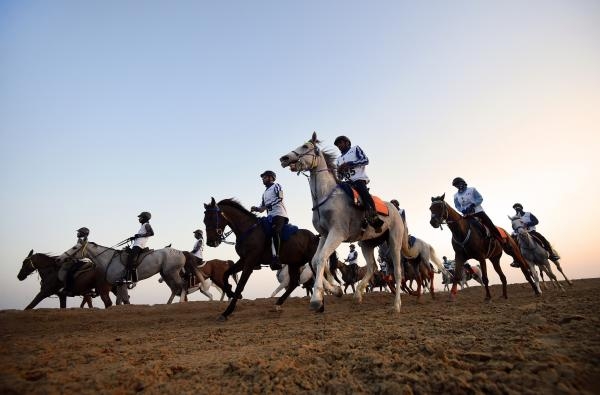 FEI World Endurance Championships 2024