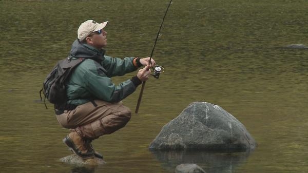 Rybolov bez hranic - Boiliesové praktiky do studené vody