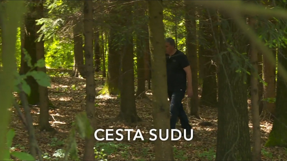 Documentary Cesta sudu