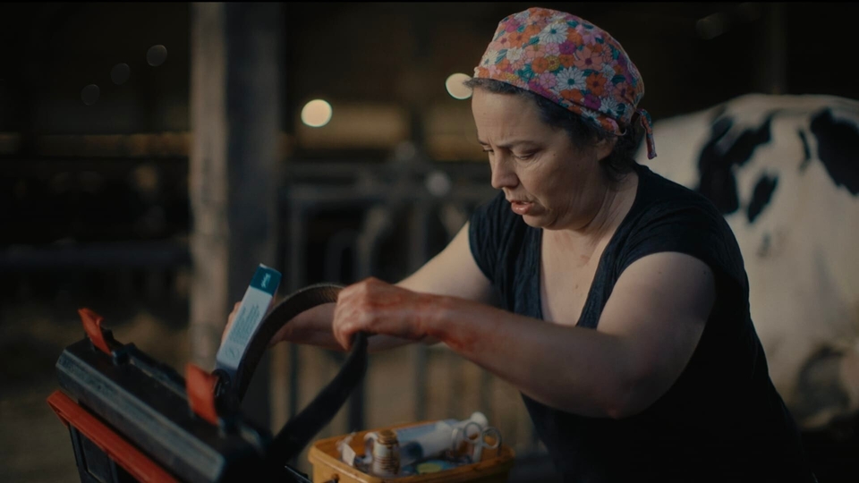 Dokument Véto de campagne