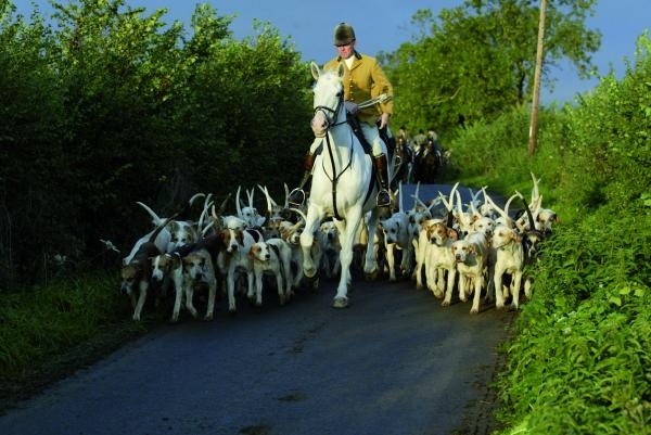 Na stopě kořisti - Vrchol světa