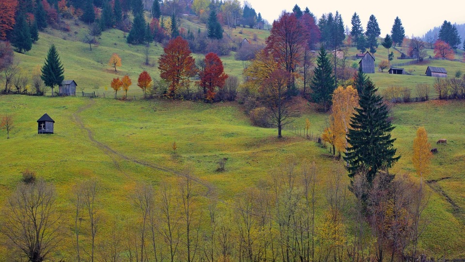 Dokument Gwiazdy z Beskidu