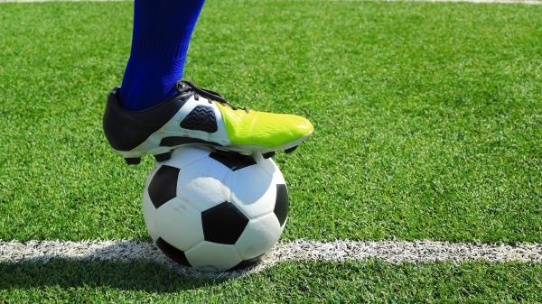 Piłka nożna: Liga portugalska - mecz: GD Estoril Praia - SL Benfica