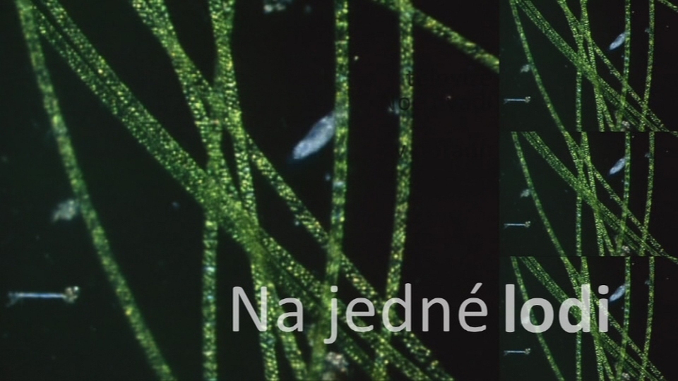 Documentary Na jedné lodi