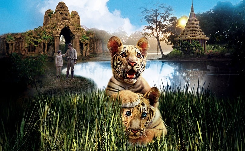 Фільм Двоє братів