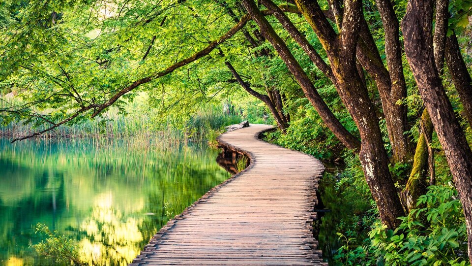 Najlepsze pokazy rekreacyjne online