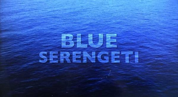 Blue Serengeti