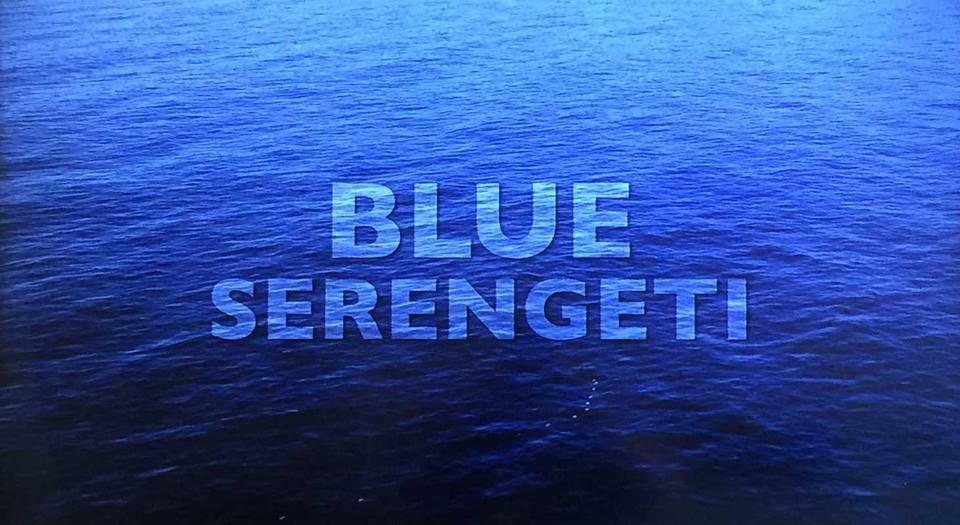 Dokument Blue Serengeti