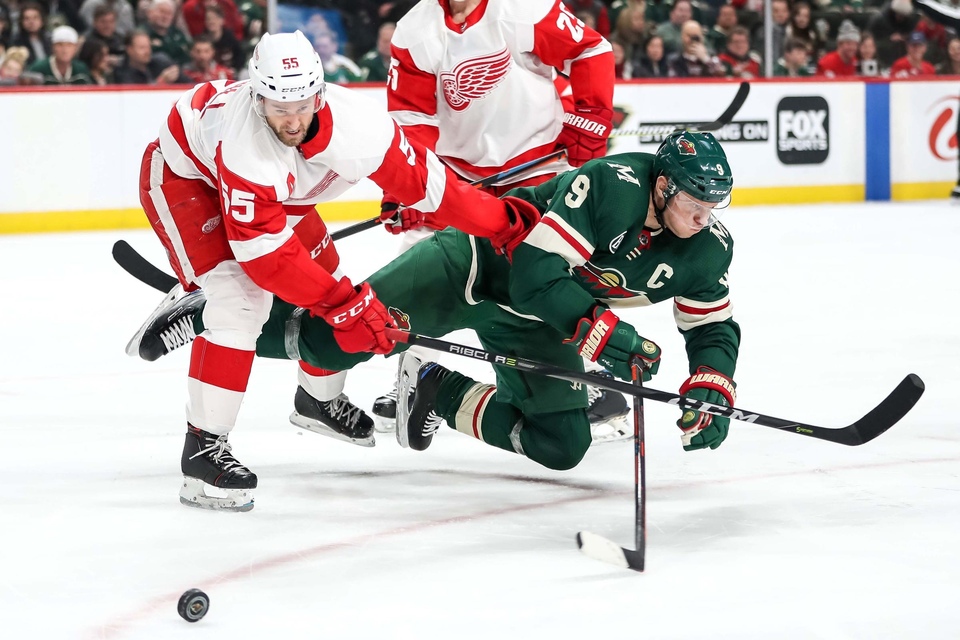 Detroit Red Wings - Minnesota Wild