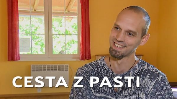 Bez limitů