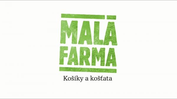 Košíky a košťata