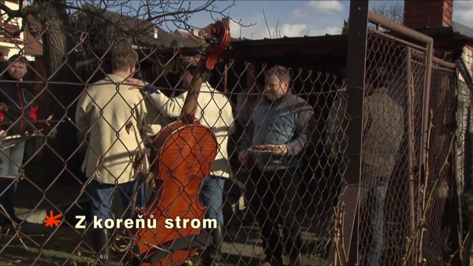 Dokumentarci Z koreňů strom