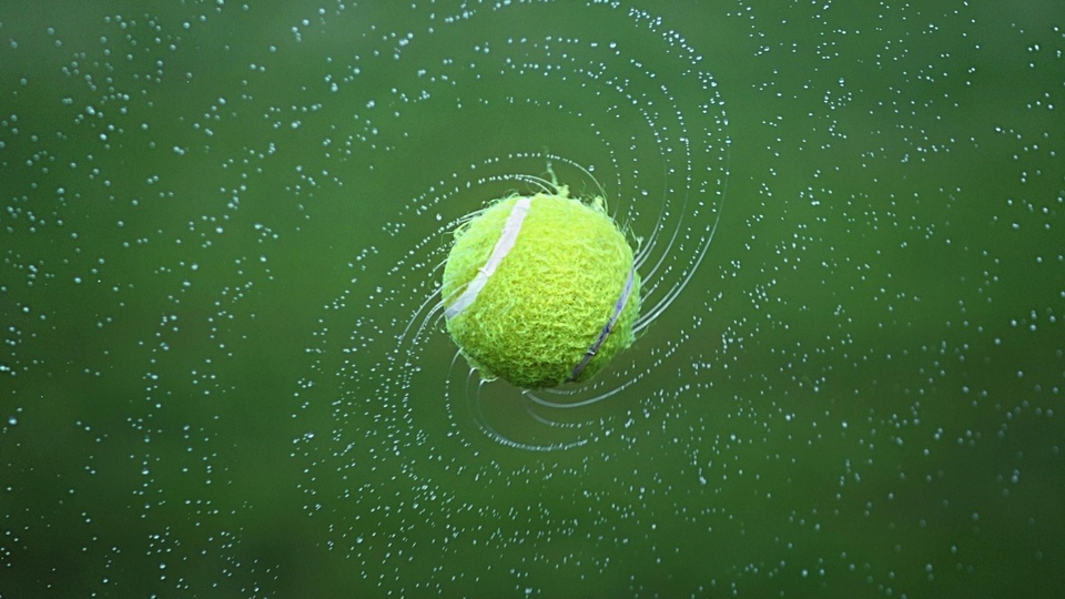 Tenis